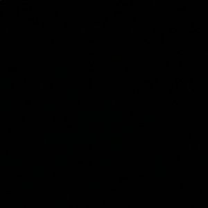 Meet your Posher, Kyra